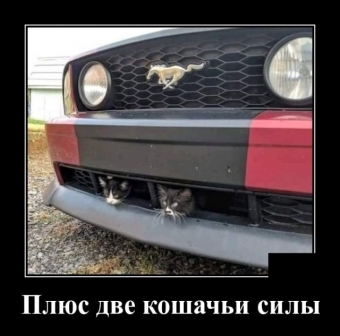 Прикольные демотиваторы про авто.