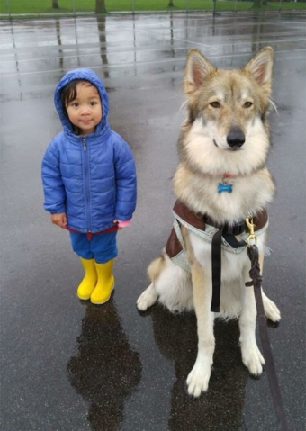 Смешные животные.