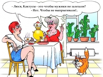 Понемногу обо всем, о веселом и смешном