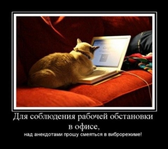 Анекдоты про работу, пусть ваше настроение улучшится