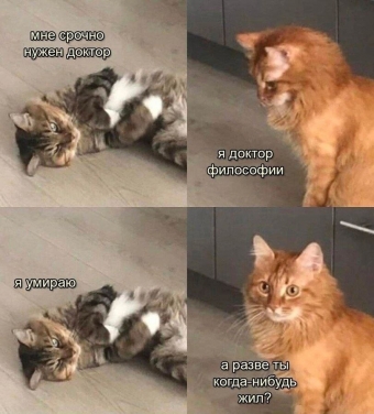 Какие-то мемы. 1 часть 