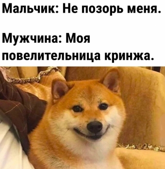 Шуточки и мемы для вас. 5 часть