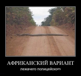 Смешные моменты из жизни автомобилей