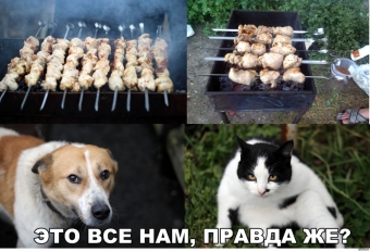 Я за зиму, забыл, отвык, как вкусный выглядит шашлык.