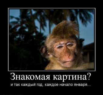 Осторожно, обезьянки - смешные демотиваторы про обезьян