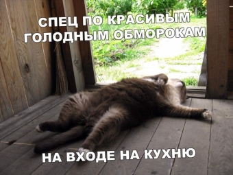 Cмешные картинки про самых разных зверей и животных