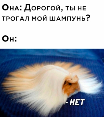 Шуточки и мемы для вас. 5 часть