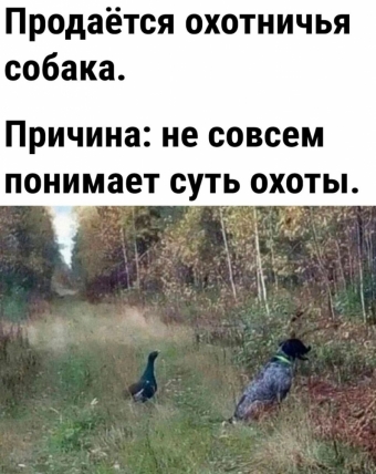 Шуточки и мемы для вас. 2 часть