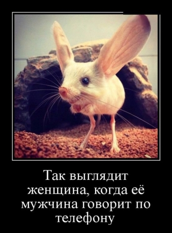 Смешные картинки про все на свете.