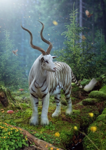 Животные и звери, других измерений.