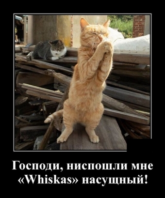 Улыбок и хорошего настроения, подборка прикольных демотиваторов