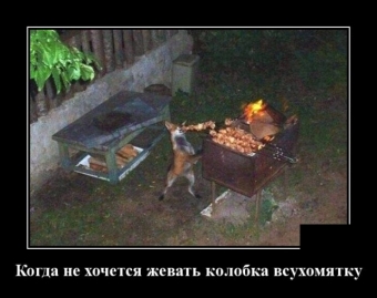 Я за зиму, забыл, отвык, как вкусный выглядит шашлык.