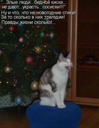 Расскажу вам анекдот, про волшебный Новый год