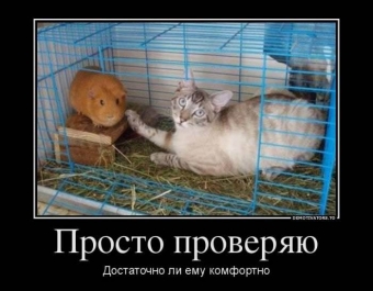 Улыбок и хорошего настроения, подборка прикольных демотиваторов