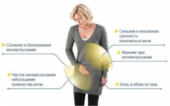 Понятие о цистите и терапия воспалительных заболеваний мочевого пузыря