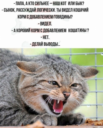 Понемногу обо всем, о веселом и смешном