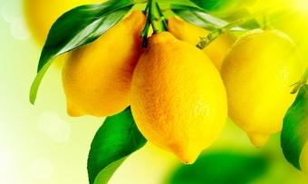 Чем полезен лимон, и что мы о нём знаем.