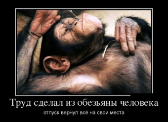 Осторожно, обезьянки - смешные демотиваторы про обезьян