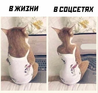 Шуточки и мемы для вас. 12 часть