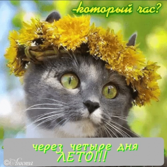 Тысячи открыток и поздравлений. 27 часть.