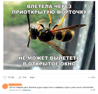 Разные мемы. 4 часть. 