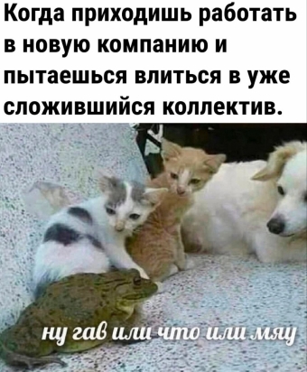 Шуточки и мемы для вас. 9 часть