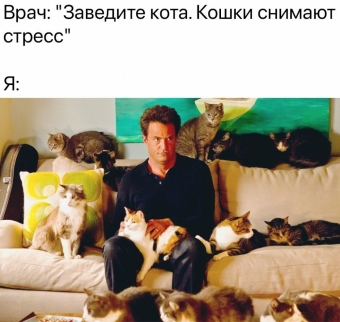 Шуточки и мемы для вас. 8 часть 