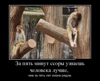 Осторожно, обезьянки - смешные демотиваторы про обезьян