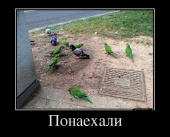 Улыбок и хорошего настроения, подборка прикольных демотиваторов