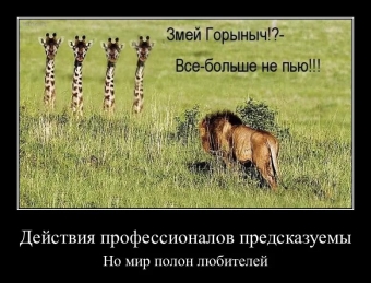 Смешные и прикольные, животные и звери 