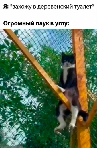 Шуточки и мемы для вас. 8 часть 