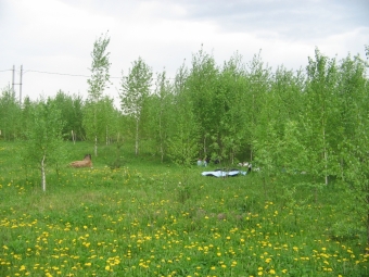 Покупайте дачу своей мечты