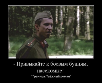 Смешные, крылатые фразы из известных фильмов.