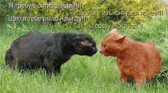 Понемногу обо всем, о веселом и смешном