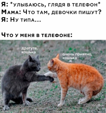 Мэмы. 1 часть