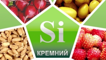 Польза кремния для здоровья человека. В каких продуктах он содержится