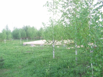 Покупайте дачу своей мечты