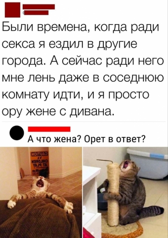 Шуточки и мемы для вас. 6 часть