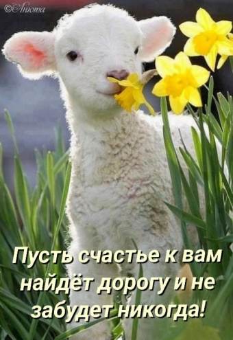 Тысячи открыток и поздравлений. 28 часть.