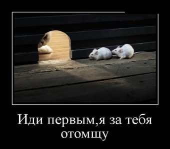 Улыбок и хорошего настроения, подборка прикольных демотиваторов