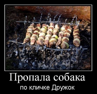 Я за зиму, забыл, отвык, как вкусный выглядит шашлык.