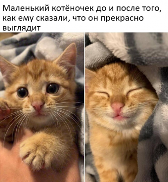 Небольшая подборка мемов для вас