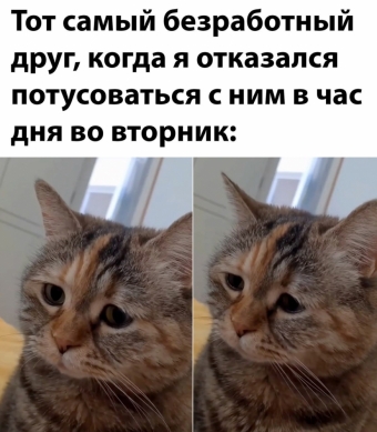 Мэмы. 3 часть 