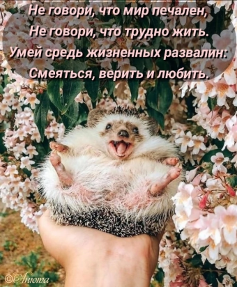 Тысячи открыток и поздравлений. 28 часть.
