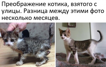 Небольшая подборка мемов для вас