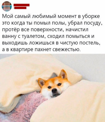 Мэмы. 3 часть 