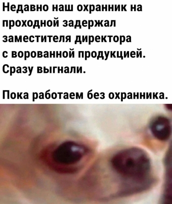 Мэмы. 2 часть