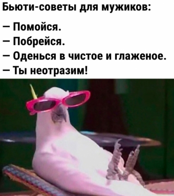Мэмы. 3 часть 