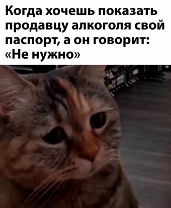 Шуточки и мемы для вас. 8 часть 