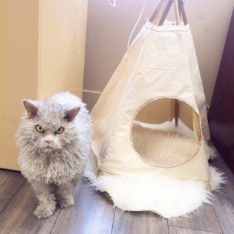 Красивые картинки для вашего настроения. 4 часть